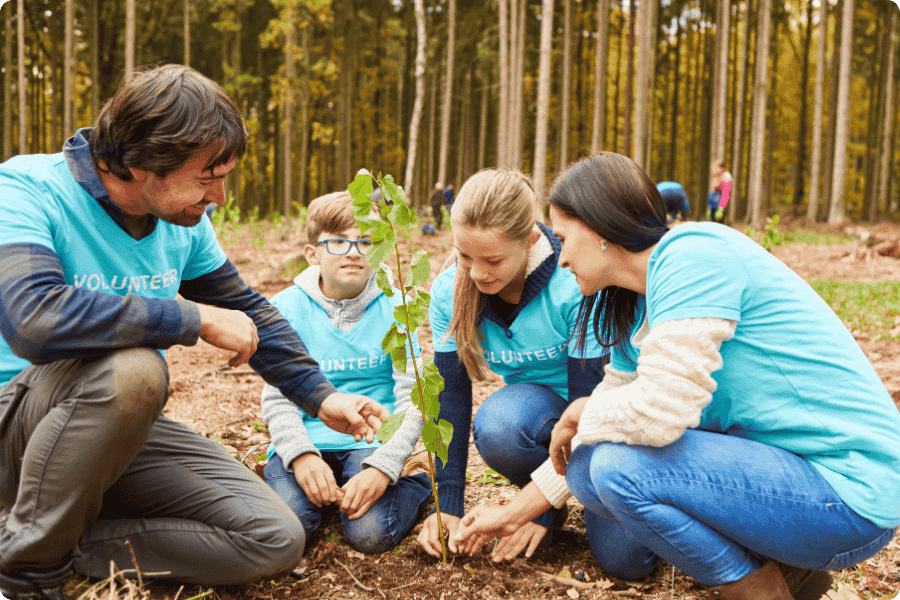 Sustentabilidade e Educação Ambiental