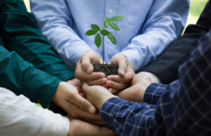 Palestras sobre sustentabilidade e sua relevancia no mundo empresarial